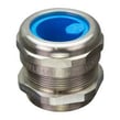 blueglobe-1