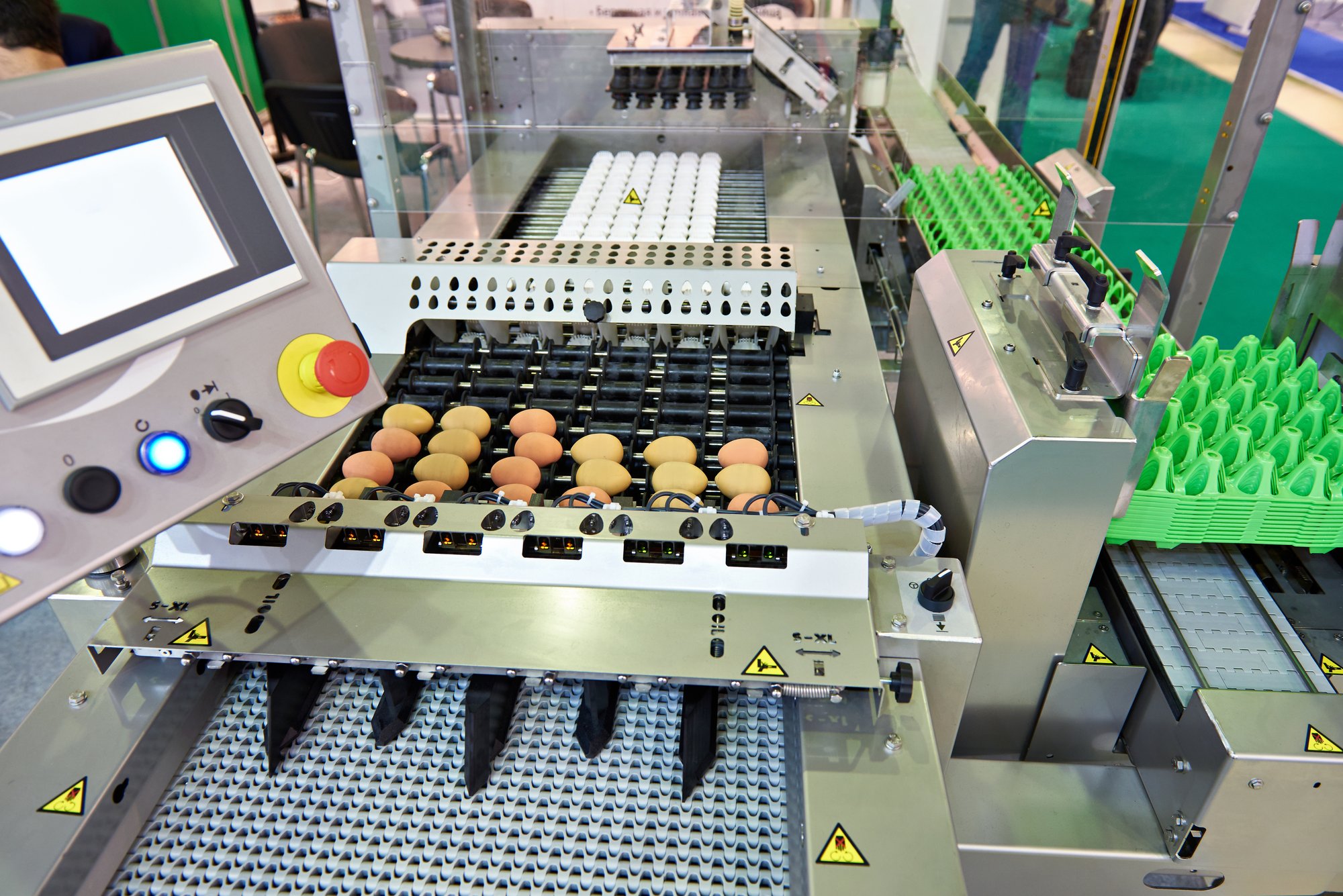 egg inspection and packaging